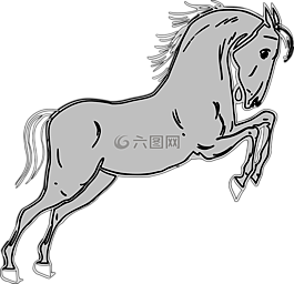马,灰色,跳跃