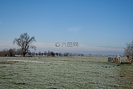 冬天,景观,天空