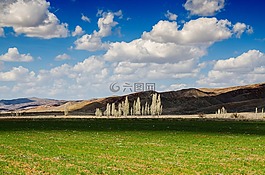 樹,天空,山