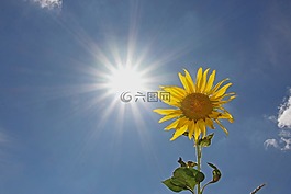 性質,夏季,天空