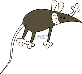 鼠標(biāo),大鼠,動(dòng)物