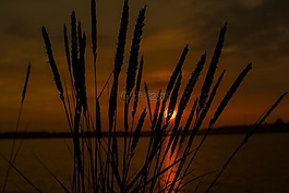 太陽,sonnenschei,日落
