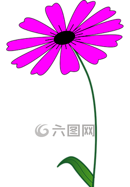 花,粉紅色,光明