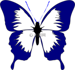 蝴蝶,昆蟲(chóng),春