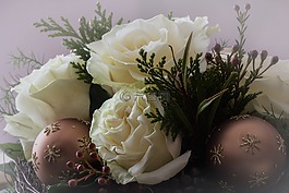 鮮花,性質(zhì),節(jié)日
