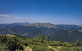 山,森林,葉子