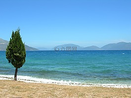 樹,海,海岸線