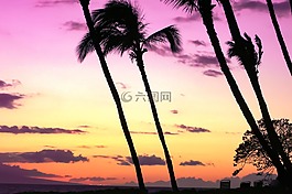 日落,海灘,夏威夷
