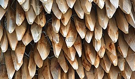 極的木材堆積,員額被修剪的,釘釘