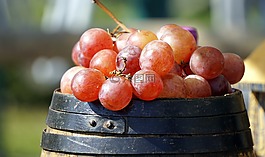 水果,食品,健康