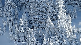 蒂罗尔,tannheimertal,冬天
