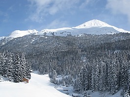 山,針葉樹(shù),雪景