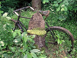 自行車,花園,老