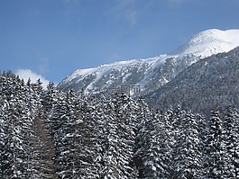 山,針葉樹(shù),雪景