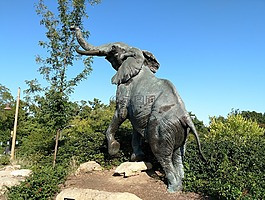 象,雕像,動物園