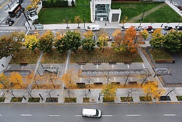城市,路,公園