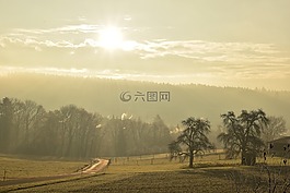 景觀,霧,清晨的陽光