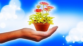 手,花盆,散景