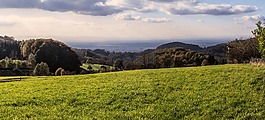 全景,奧登,查看