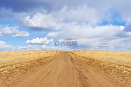 干,自然,天空