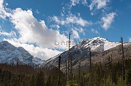 山,冬奧會(huì),雪