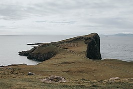 綠色,草,高原