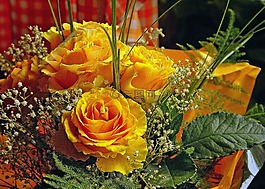 束鮮花,一束玫瑰花,花束