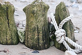 海灘,沙,繩