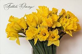 性質(zhì),鮮花,花束