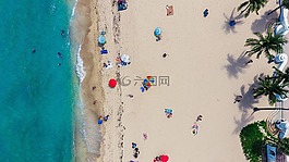 海,海洋,水