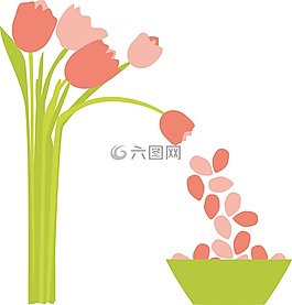 花,郁金香,花瓣