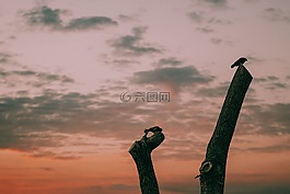 云,天空,日落