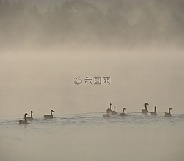 自然,春,上午
