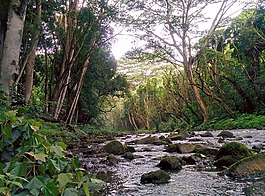 河,戶外,自然