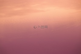 海,水,海灘