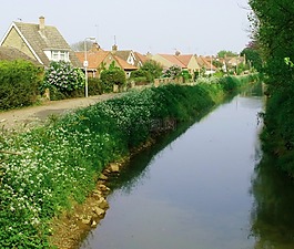 河,農(nóng)村,自然