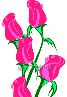玫瑰,束,粉红色