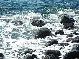 波,石頭,沖浪