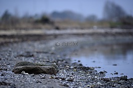 石,海灘,自然