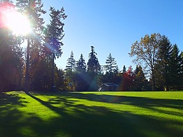 原野,陽光,公園