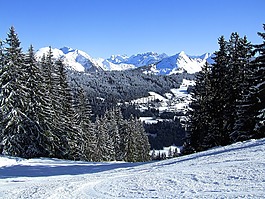 法國(guó)莫爾濟(jì)訥,法國(guó),雪