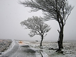 愛爾蘭,雪,雪下