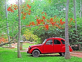 車,雪鐵龍,2cv