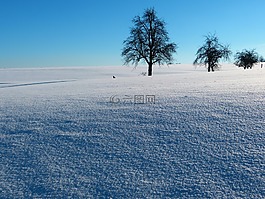 冬天,雪,景觀