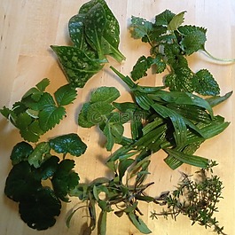 草藥,t恤,涼茶