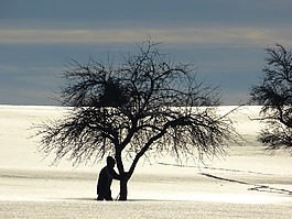 冬天,雪,景觀