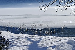 冬天,雪,弗羅斯特