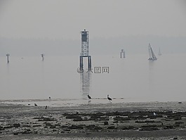 水,帆船,塔