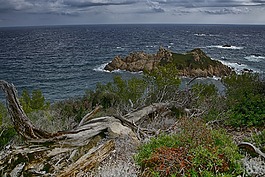海,部落,海洋