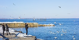 敖德薩,海,朗